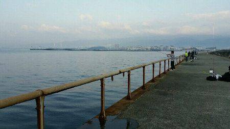 南甲子園浜。今日もタチナブラ。引き続き好調です。